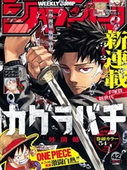 BL漫画双生花镜中恋人封面
