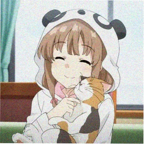 读者碎星的头像